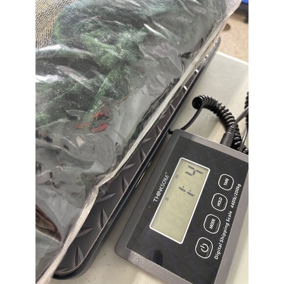 Medieval Maiden Costume Alexanders Size Medium Green Gold Dress NEW - Picture 7 of 7